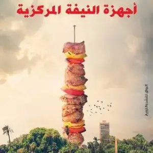 أجهزة النيفة المركزية